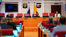 Депутаты Яроблдумы призвали сохранить соцобязательства в бюджете 2026 года