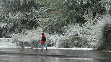 В Ярославле выпадет первый снег
