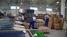 В Ярославской области индекс производства пищевых продуктов достиг 111%