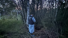 Борисоглебскую чиновницу признали виновной в гибели ребенка в открытом колодце