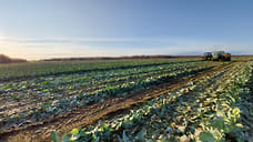 В Ярославской области отменили налоговую льготу сельхозпроизводителям