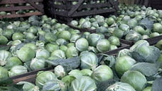 В Ярославской области сборы урожая превысили прошлогодние показатели