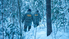 В Ярославской области началось предновогоднее патрулирование лесов
