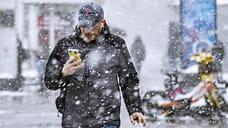 В Ярославской области ожидают сильный ветер и гололед