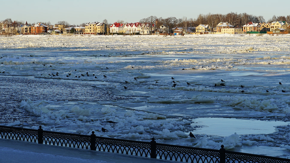 Льдины на реке чем-то привлекают птиц, особенно много здесь ворон