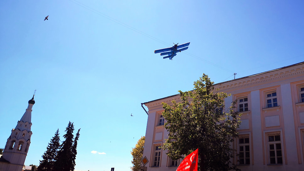 Птицы над городом