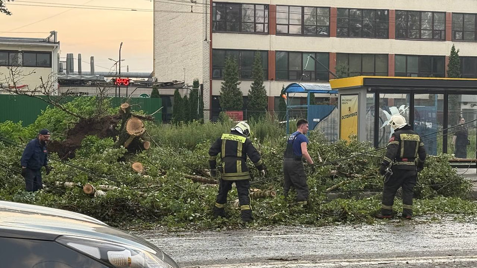 Спасатели очищают дорогу от упавших деревьев