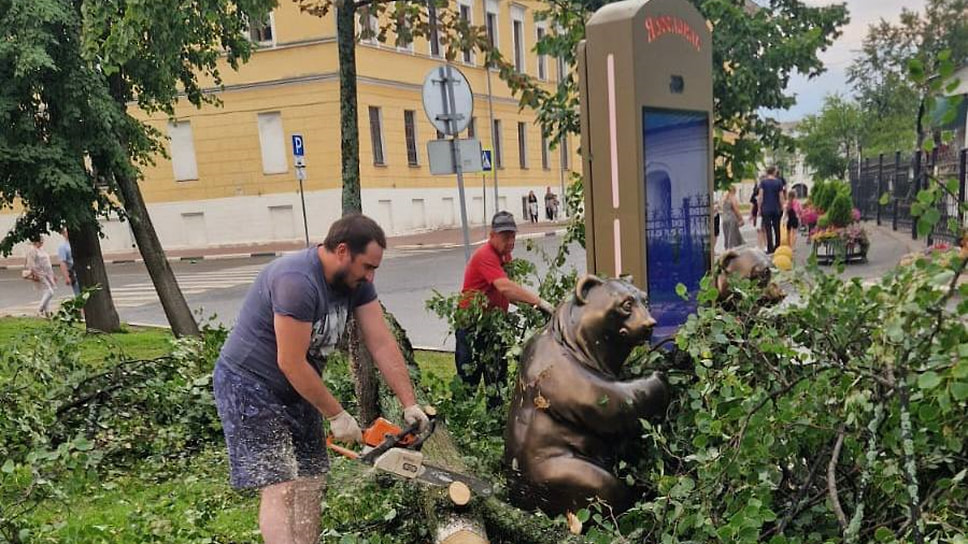 В центре Ярославля упавшее дерево завалило туристическую информационную панель с медведями
