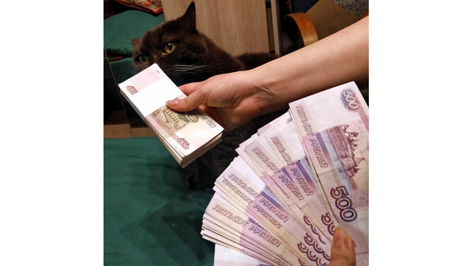 Инвестиции с видом на защиту