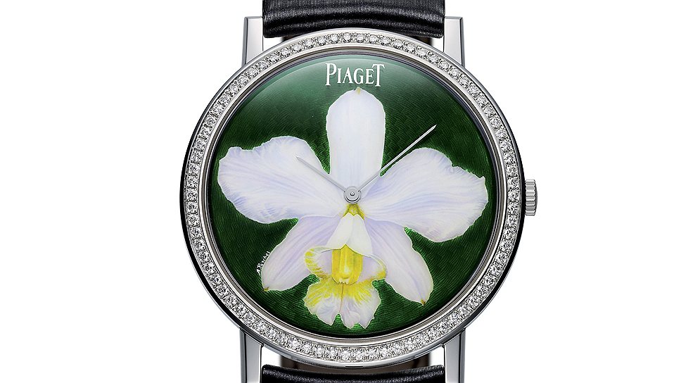 Piaget, Altiplano