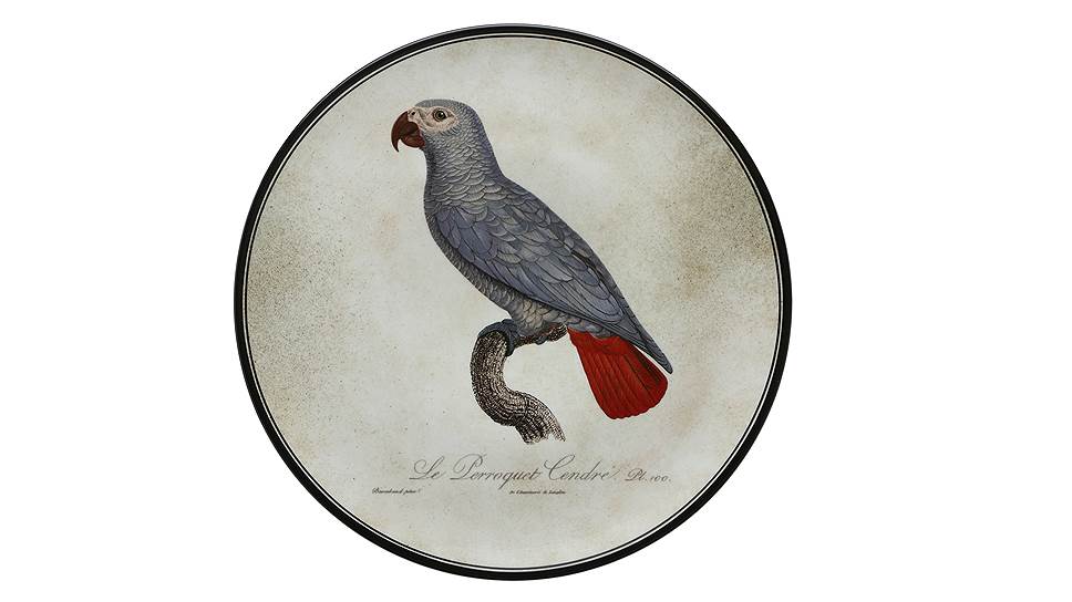 Декоративная тарелка Le Perroquet Cendre, создана по мотивам орнитологических атласов XVIII века 
