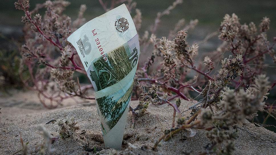Буррито в качестве бонуса