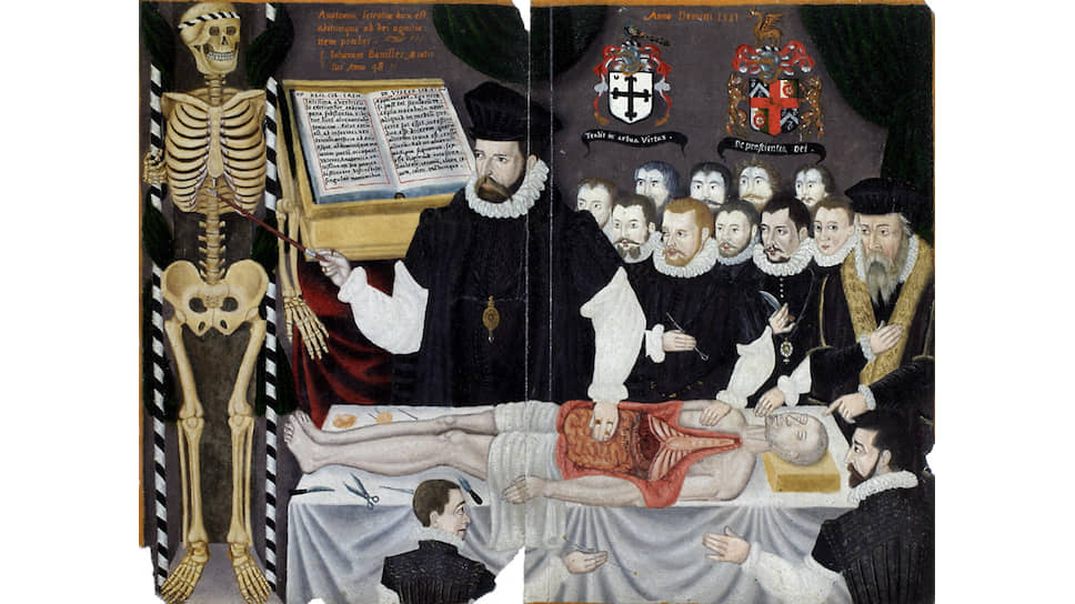 Лекции по анатомии уже в Средние века были невозможны без наглядных пособий