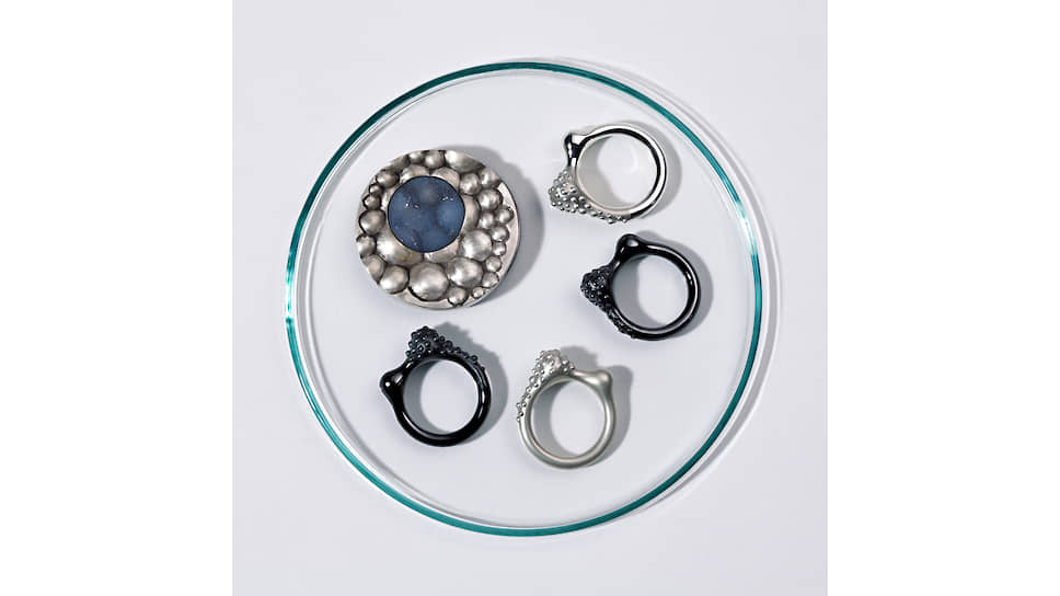 Брошь и кольцо, серебро, Мюриель Лоран (Muriel Laurent), студентка HEAD Geneve
