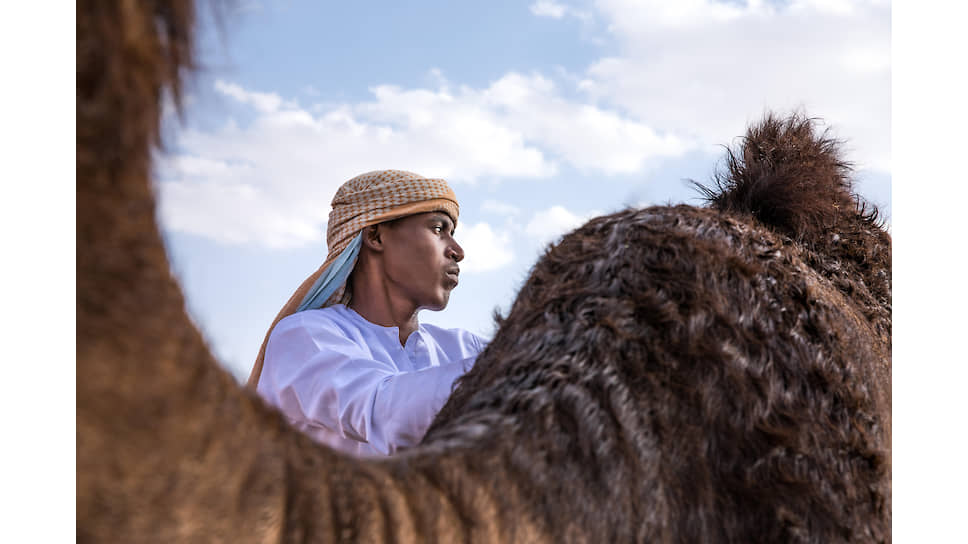 Житель Абу-Даби со своим верблюдом