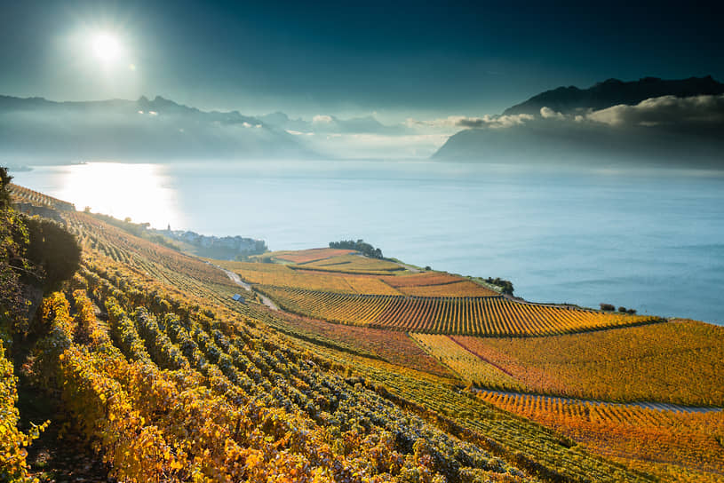Вид на Женевское озеро и виноградники Лаво,  внесенные в список Всемирного наследия ЮНЕСКО