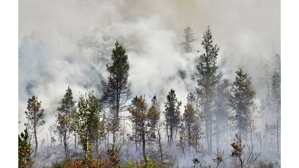 Лесные пожары в Горном районе Якутии