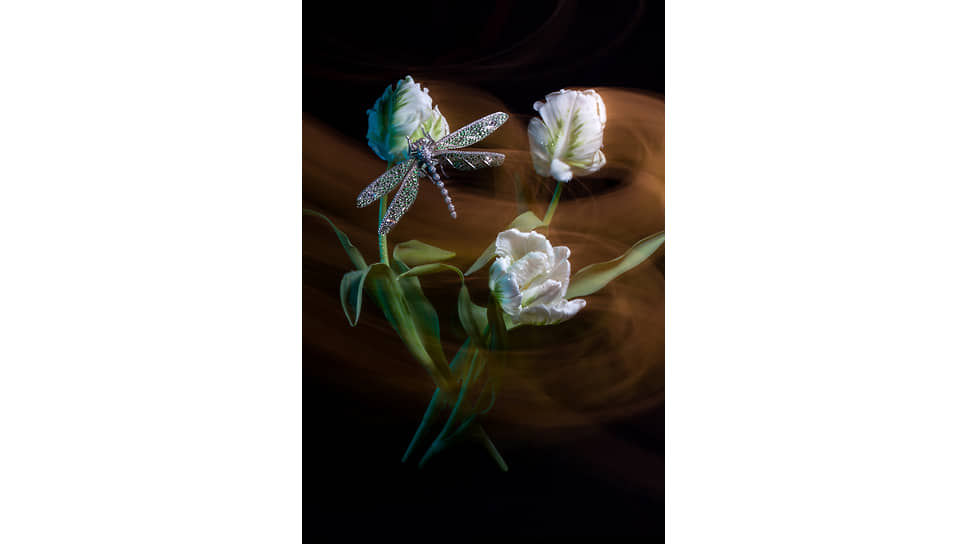 Sillam, брошь Dragonfly, платина, изумруды, бриллианты