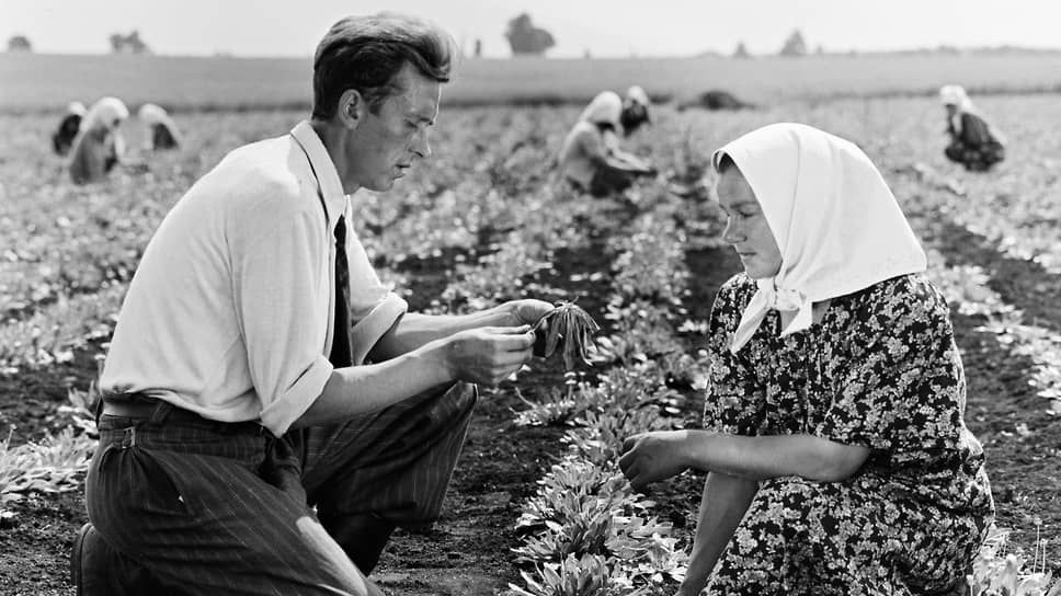 «Совет агронома». Колхоз «Боротьба», Минская область, Белоруссия, 1950 год 