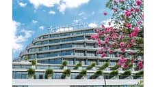 Вектор на велнес