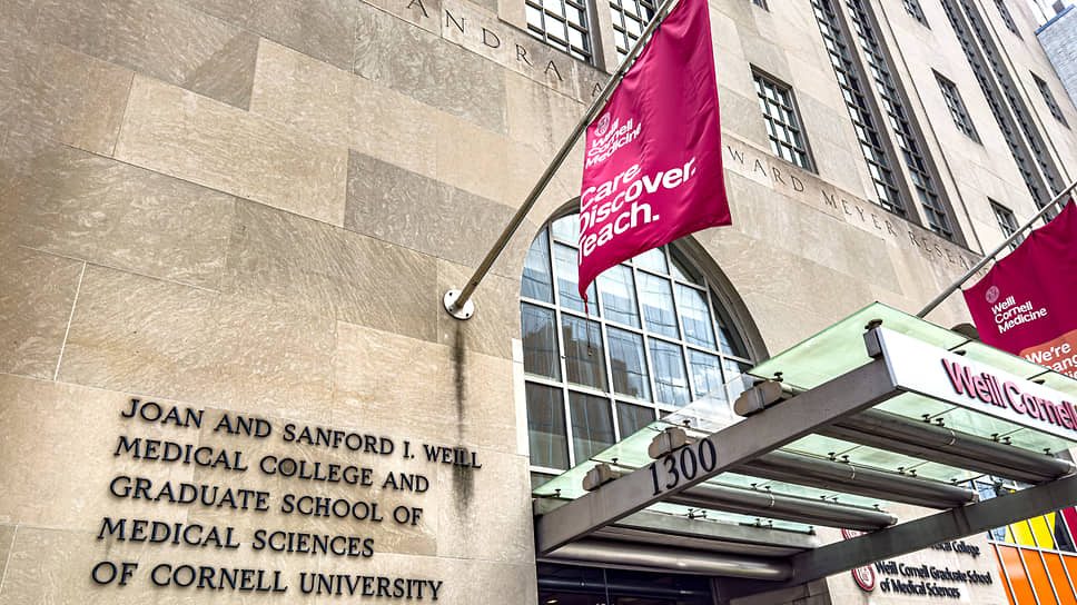 KMO_148127_05683_1_t218_143943 Слишком большой, чтобы упасть