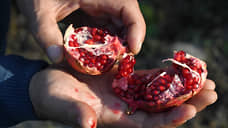 "Гранат нужно есть с косточками"