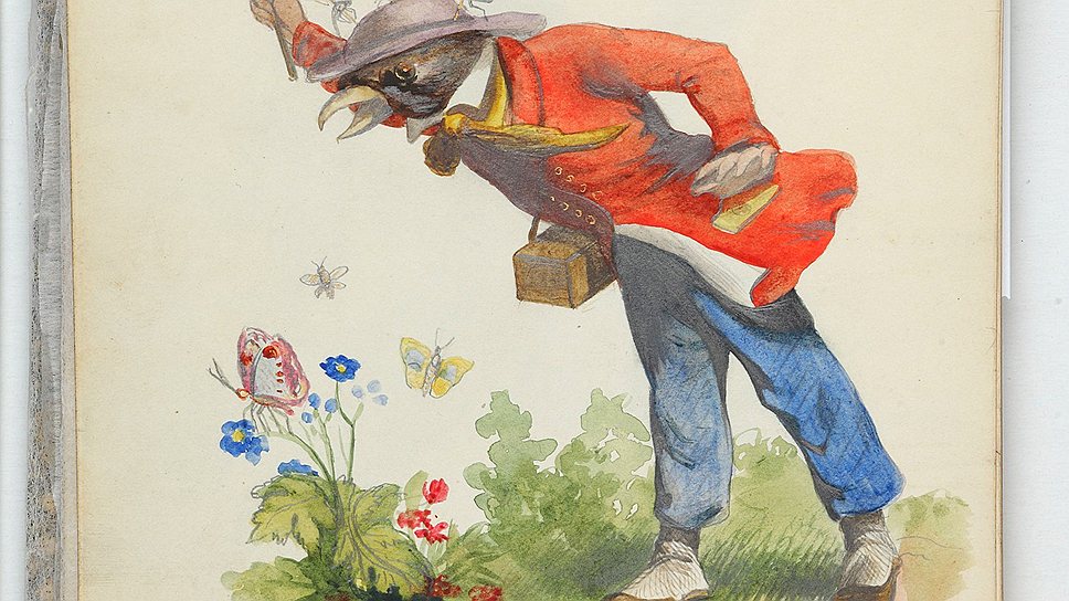 Д. Дунин. &quot;Воробей-энтомолог&quot;, 1848 год