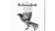 “The Common Linnets”