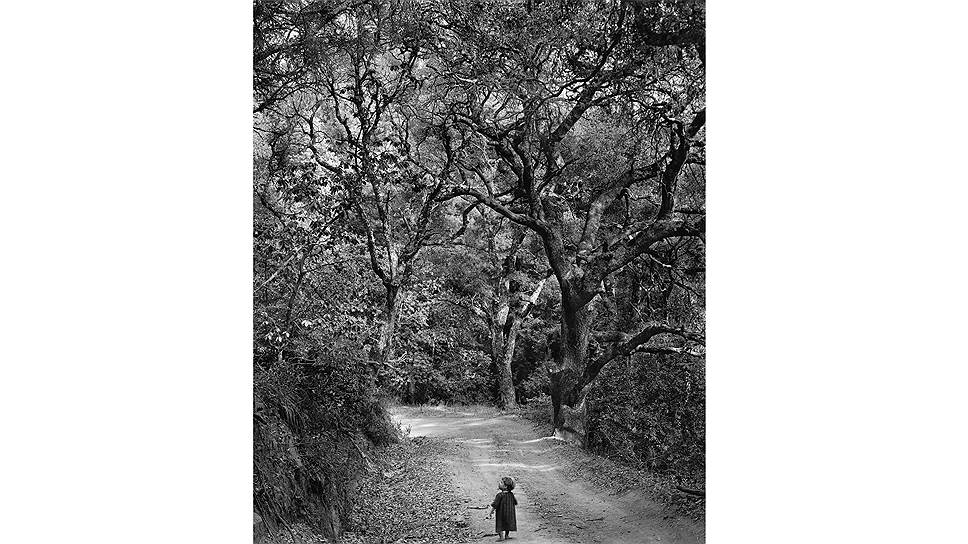&quot;Ребенок на лесной дороге&quot;, 1958 год 
