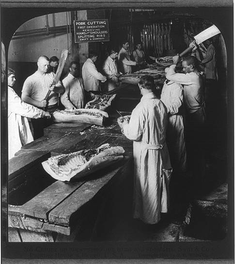 Мясоперерабатывающая фабрика в Чикаго, 1906 год