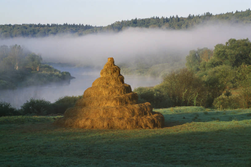 «Зиккурат», 2008