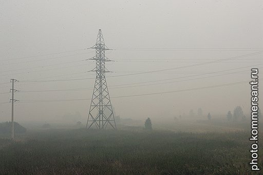 С тлеющими и дымящимися гектарами леса люди могут бороться только с помощью лопат, ведер и песка