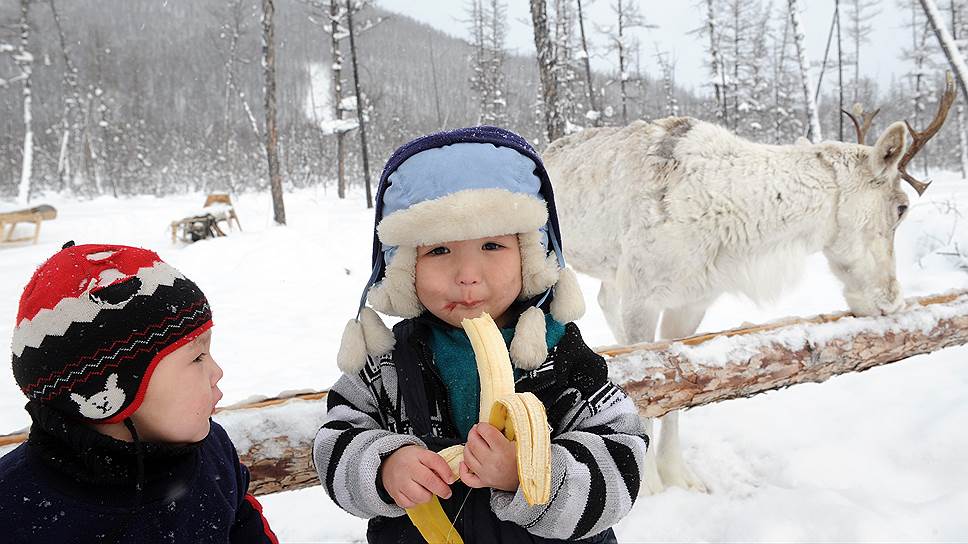 Сегодня в Эвенкии легче встретить банан зимой, чем эвенков в национальной одежде 
