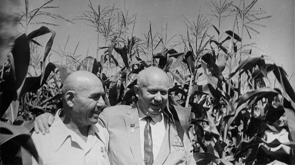 Хрущев считал, что кукуруза -- будущее сельского хозяйства, его оппоненты -- что потраченные впустую силы и средства