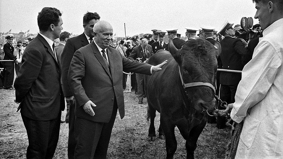 Увидев в Дании успехи капиталистического сельского хозяйства, Хрущев затеял очередную перестройку управления социалистическим