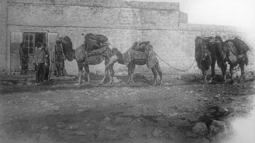 Еще в начале прошлого века для транспортировки нефти использовались верблюды 
