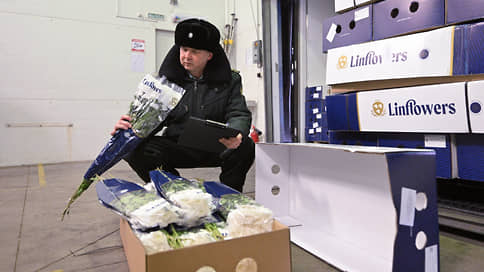 Регулятору вернут букет // Россельхознадзор ограничил ввоз в Россию цветов из Армении