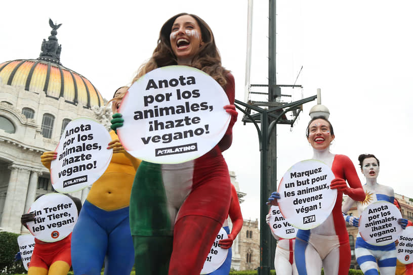 Активисты организации «Люди за этичное обращение с животными» (PETA) в одежде цветов национальных флагов протестуют у Дворца изящных искусств в Мехико. Участники акции призывают футбольных болельщиков перейти на веганское питание
