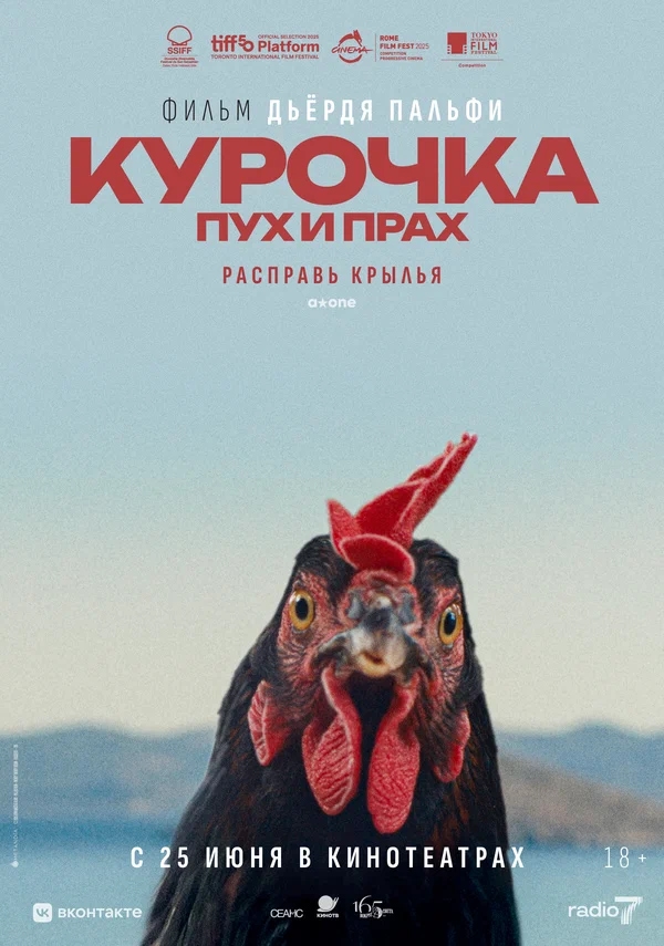 Курочка. Пух и прах (Kota, 2025)