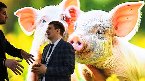 Свиноводы забили на запасы // Производство свиней на убой в январемарте выросло на 5,7%