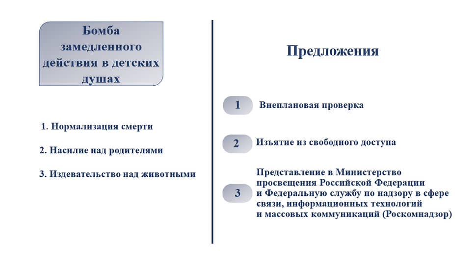Слайды из презентации депутата Госдумы Марии Бутиной