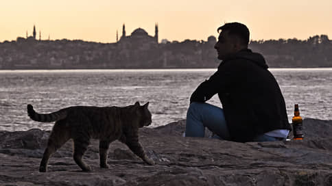 Турецкой экономике прописаны реформы // Рост ВВП Турции в 2026 году может замедлиться