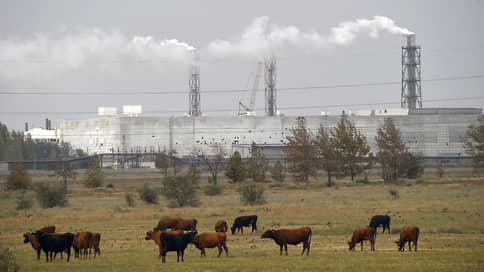 Штрафам сбавили обороты // В правительстве корректируют наказание за нарушение квот на выбросы