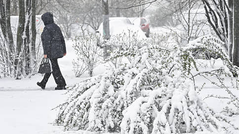 Московская снежность