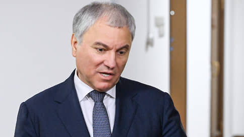 Володин рассказал о многократном увеличении налоговых пошлин для мигрантов