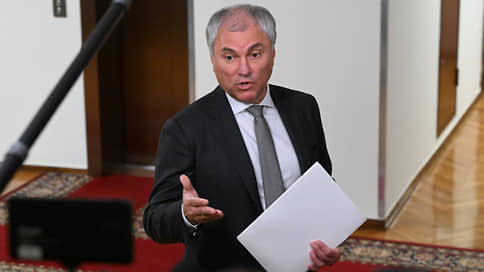 Госдума обратится к зарубежным парламентам по поводу удара по Старобельску