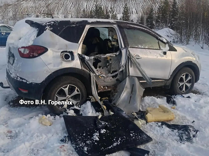 Под Ивделем застрелили медведя, который повредил 11 автомобилей