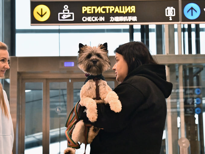 Пограничный ветеринарный пункт контроля в Кольцово прекратит работу