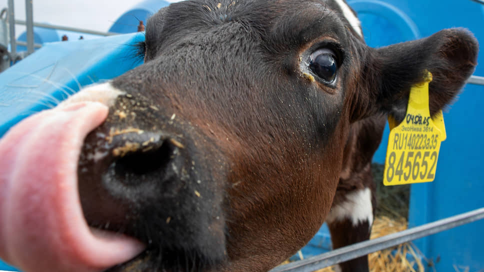 В Марий Эл на строительство коровника и автопарка выделили 30 млн