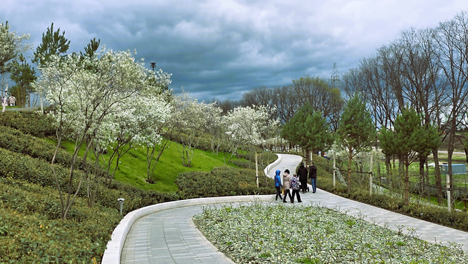 В 2019 году парк получил награду Eurasian Park Awards на Всемирном конгрессе World Urban Parks в Казани